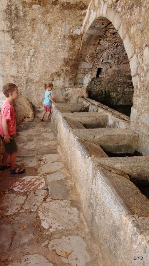 מעיין בקראצי